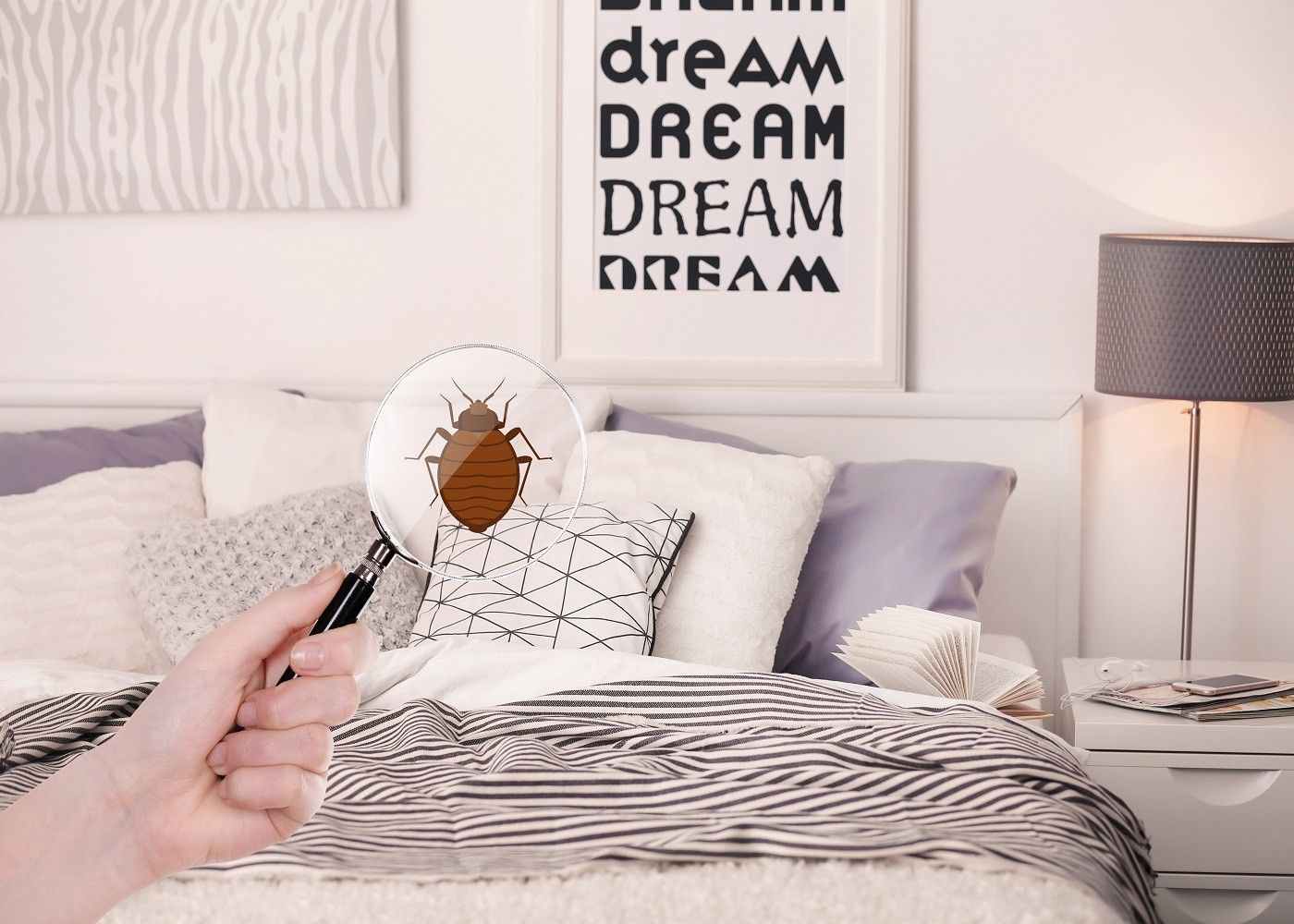 10 Essential Steps to Eradicate Bed Bugs for Good