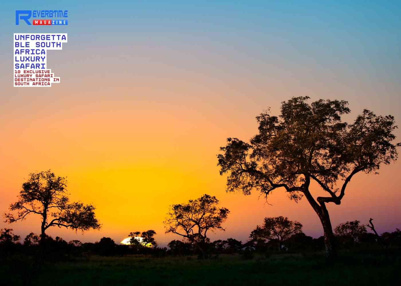 10 Luxury Safari Destinations in South Africa Worth Exploring