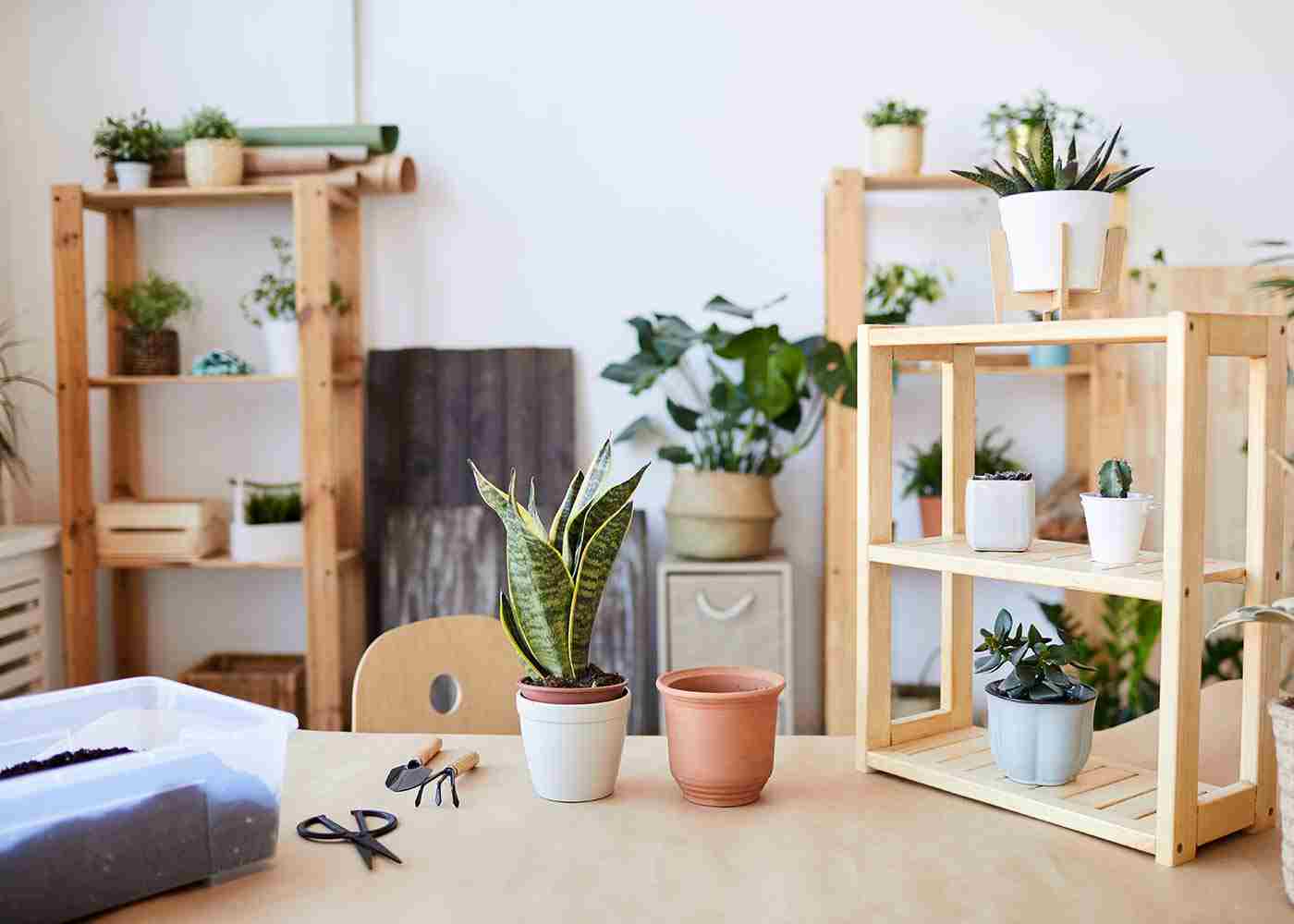 3 Mistakes to Be Aware Of When Flipping a House