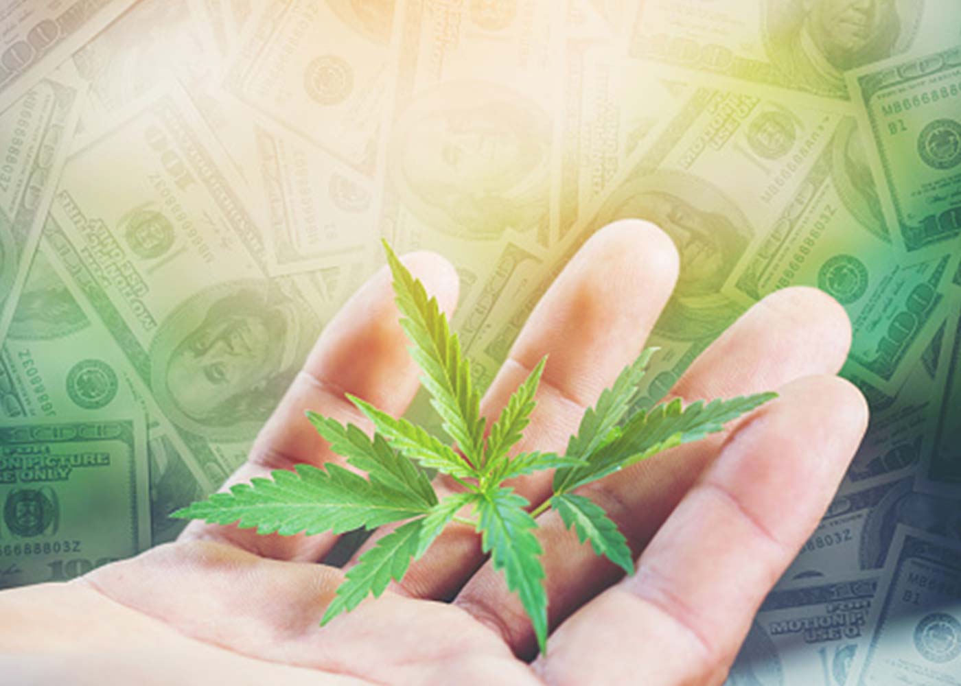 5 Easy Ways to Boost Your CBD Hemp Business in Short Time