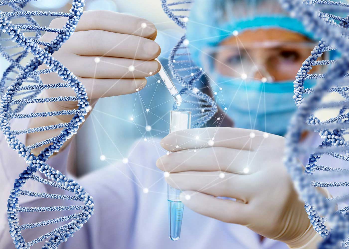 5 Legal Purpose of DNA Testing