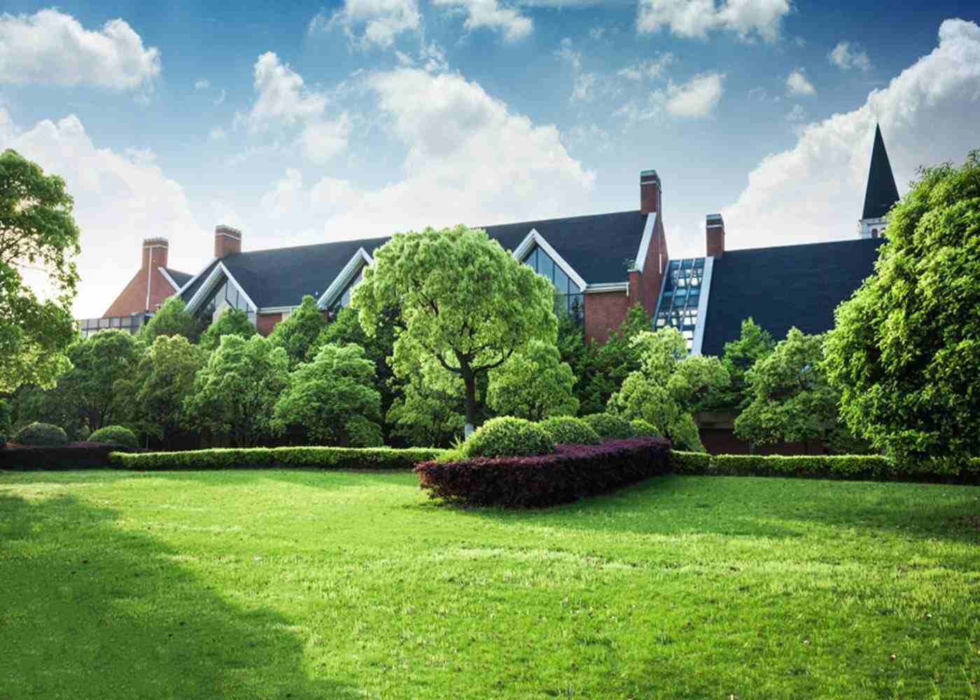 5 Tree Trimming Tips to Safeguard Your Roof and Landscape