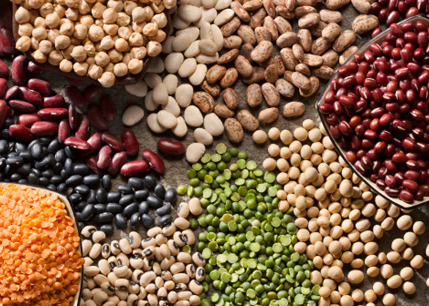 5 Wonderful Health Benefits of Protein-rich Legumes