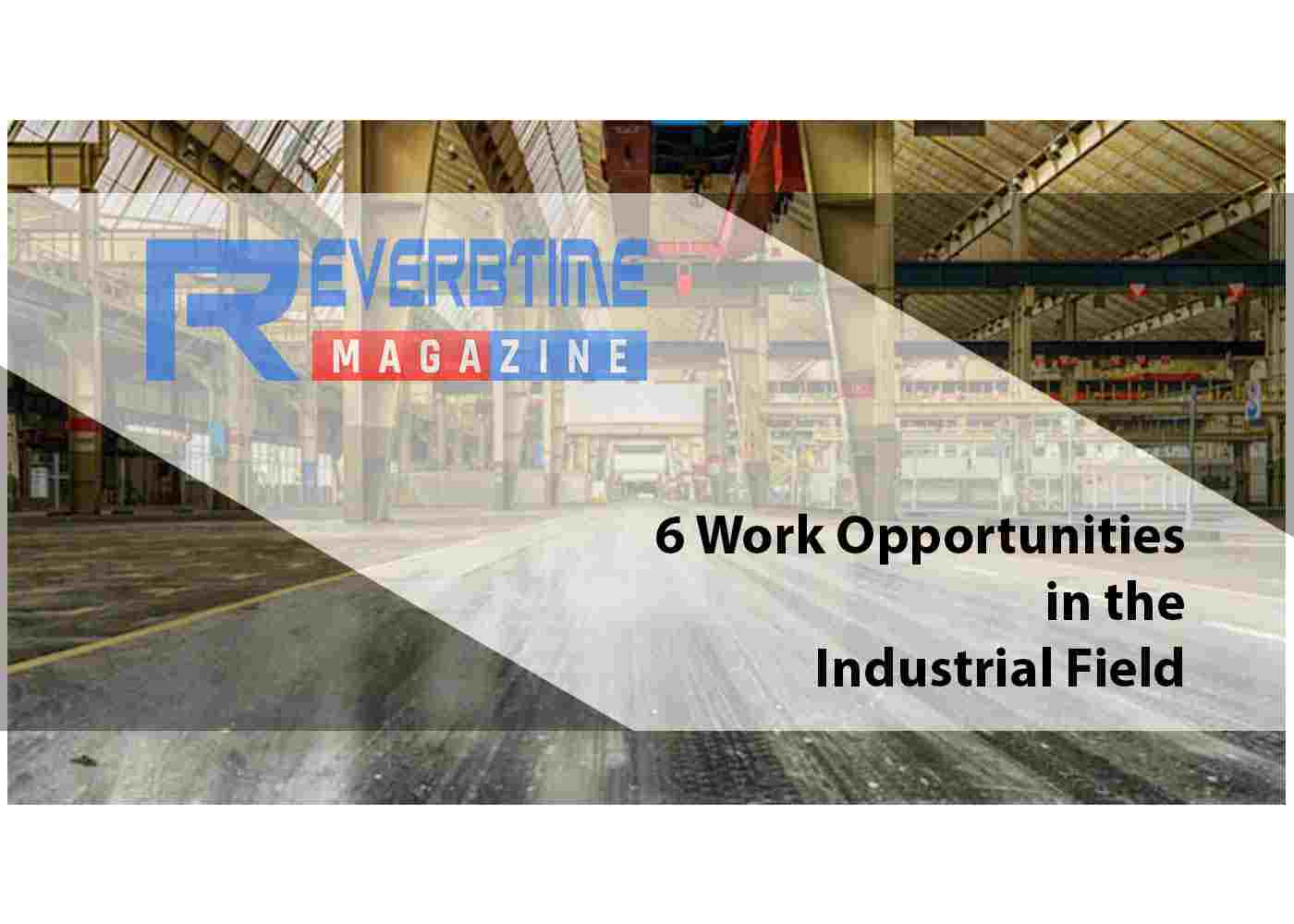6 Work Opportunities in the Industrial Field