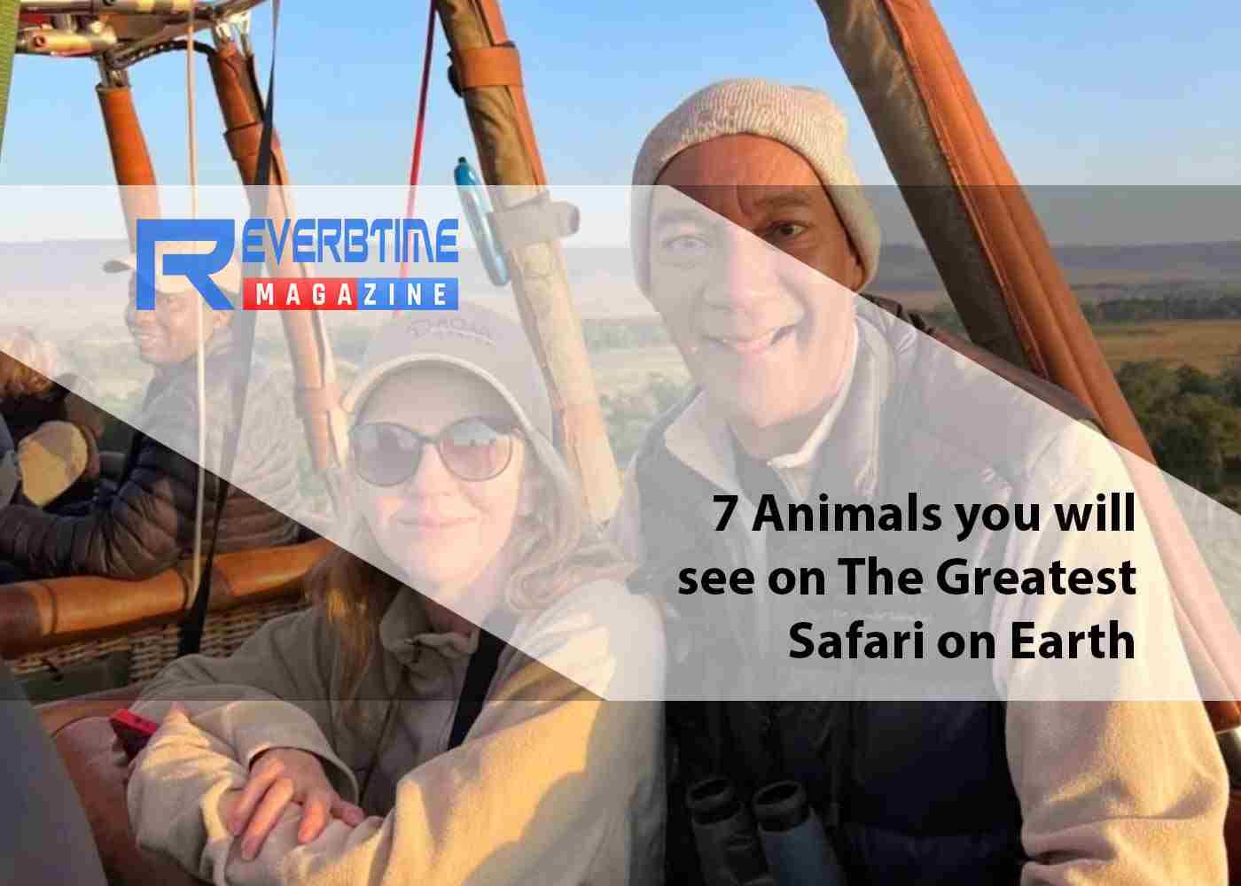 7 Animals you will see on The Greatest Safari on Earth