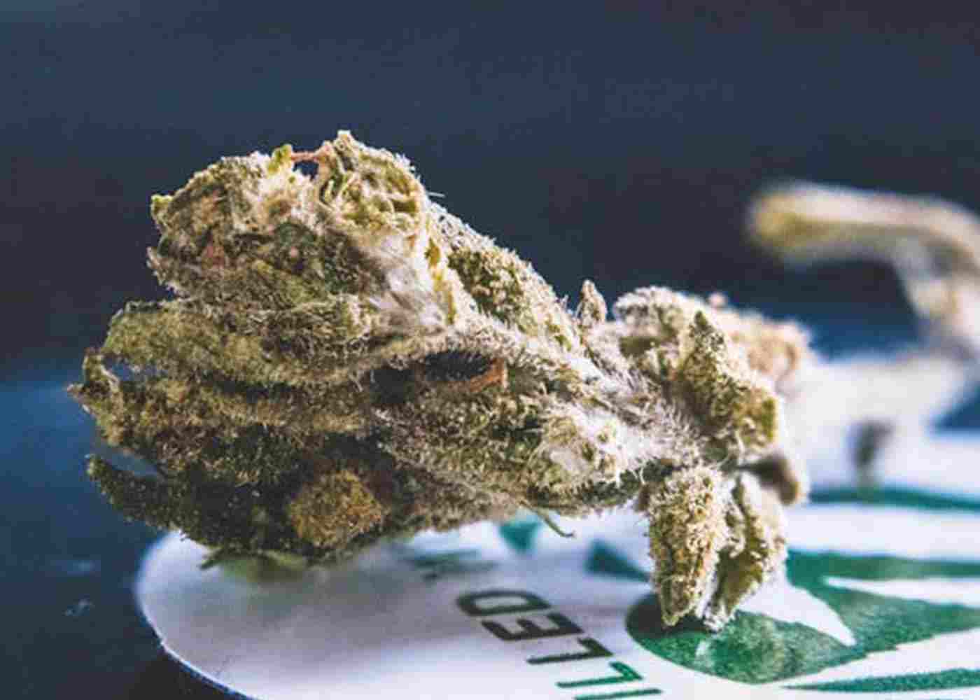 THCP 101: A Beginner's Guide to This Emerging Cannabinoid