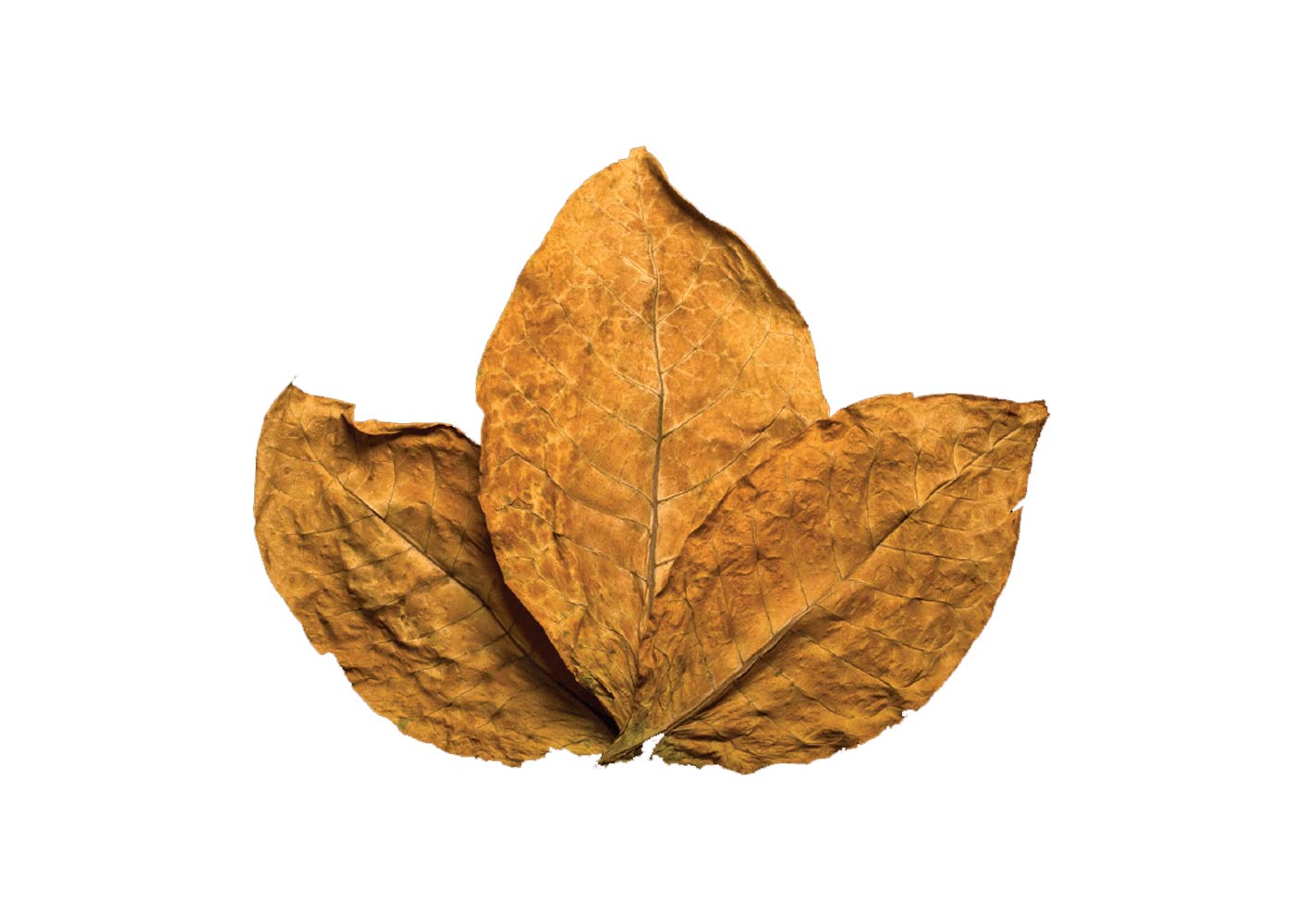 A Deep and Compassionate Exploration into the World of E-Liquids