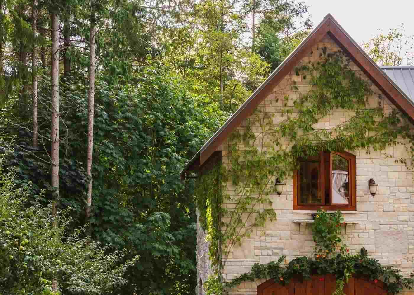A Step-by-Step Guide on How to Build a Guest House