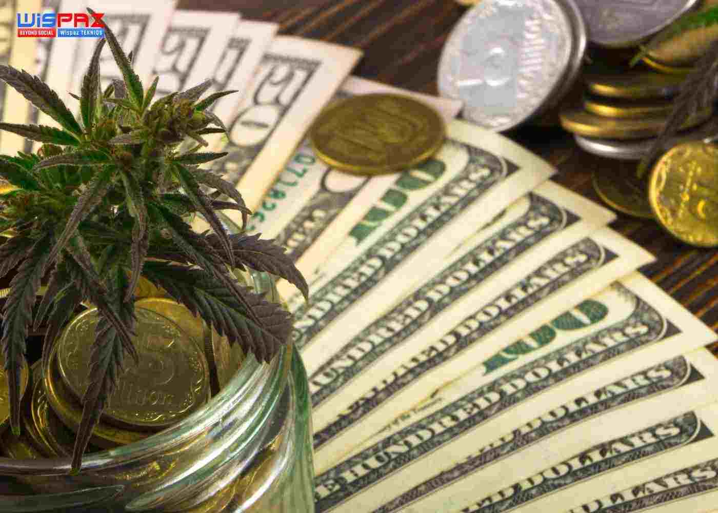 An Introduction to CBD Affiliate Programs