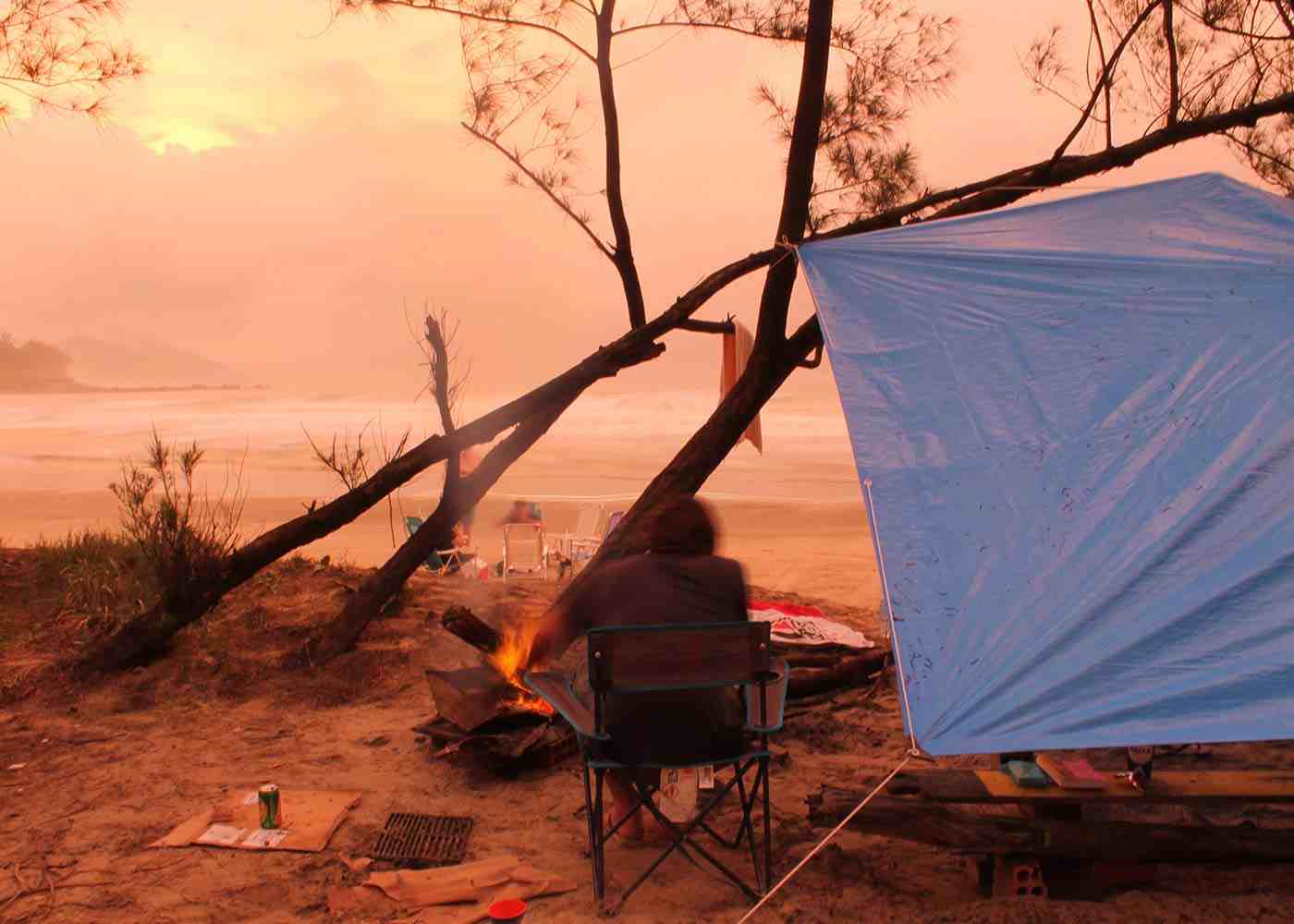 Are You Taking Sufficient Care of Your Multipurpose Tarps? Learn How