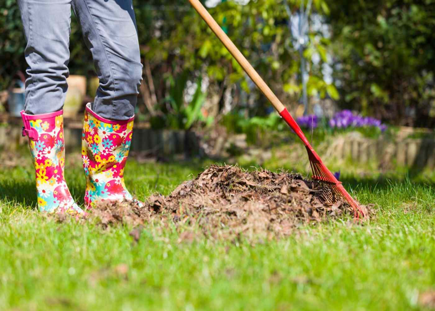 Breeze Through Spring Cleaning: Tips for a Clutter-Free and Refreshing Home