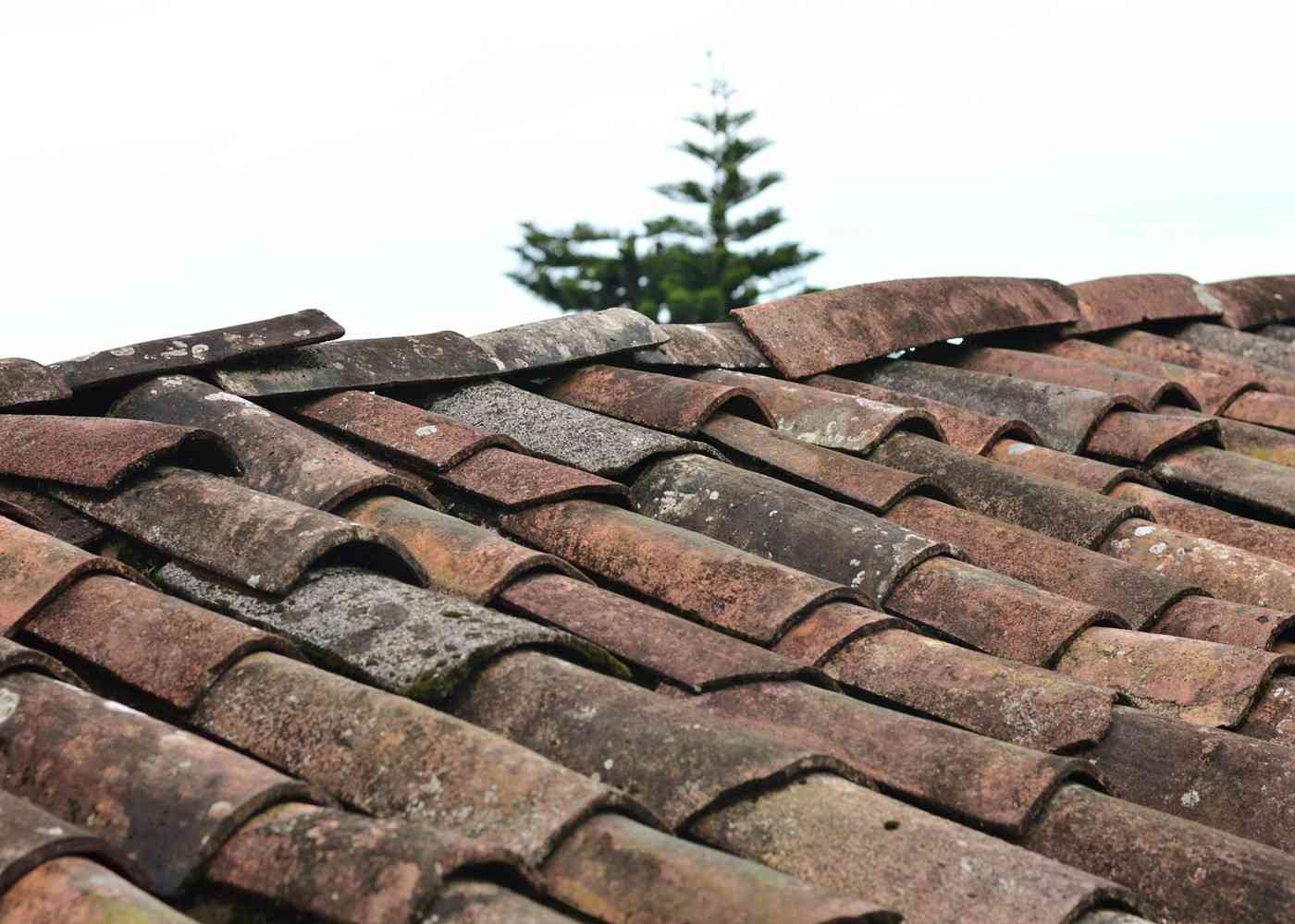 Budgeting Tips for a Roof Replacement Project