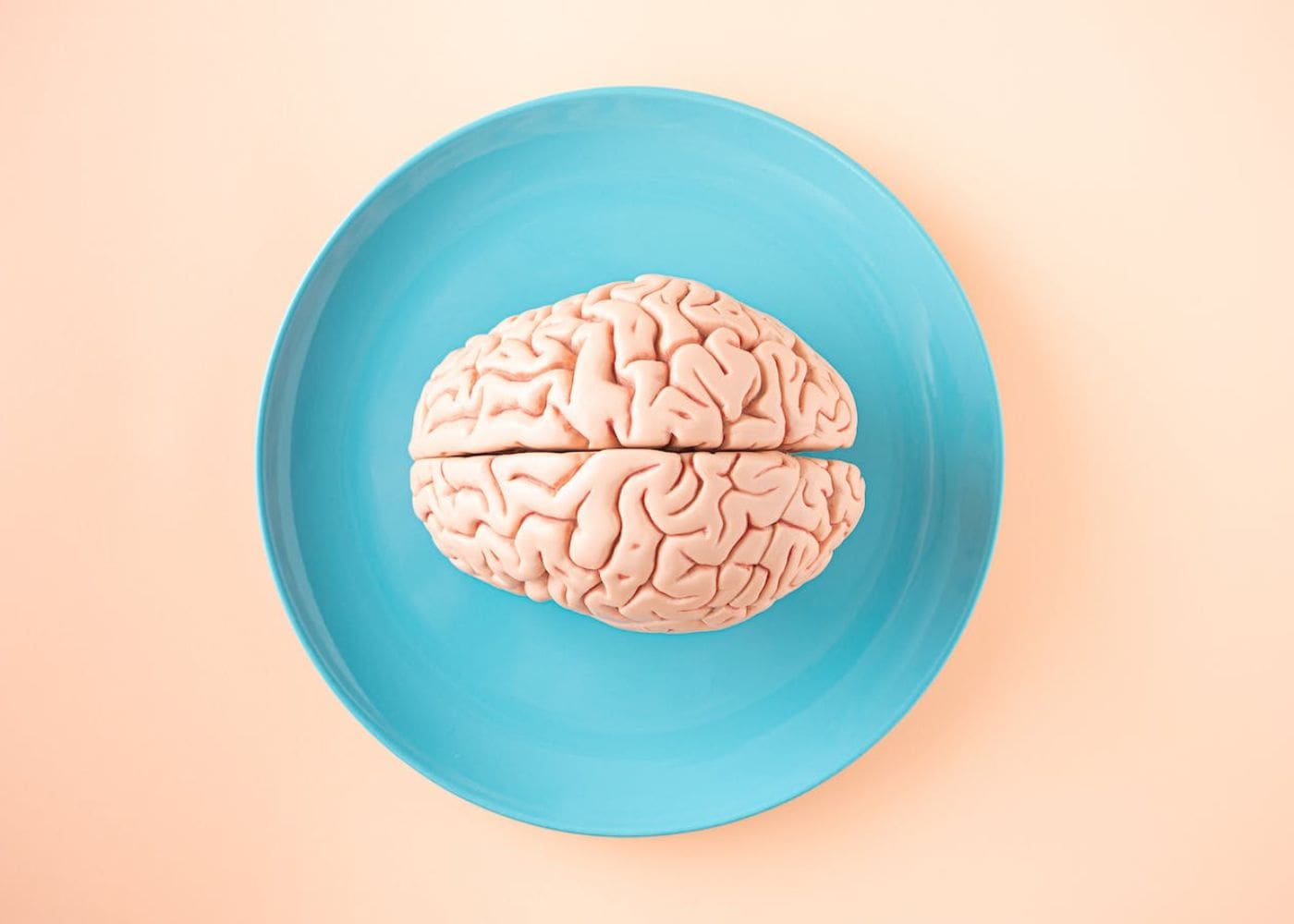 Comprehending the Legal Maze - Seeking Compensation for Primary Brain Injuries