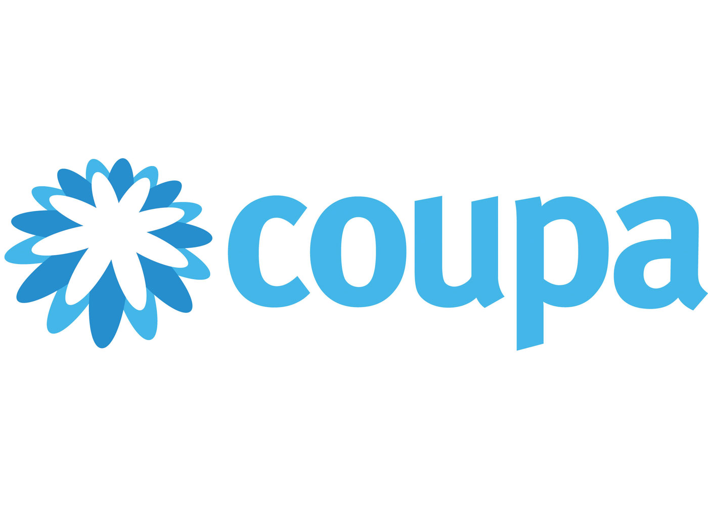 Coupa Testing: All You Need to Know