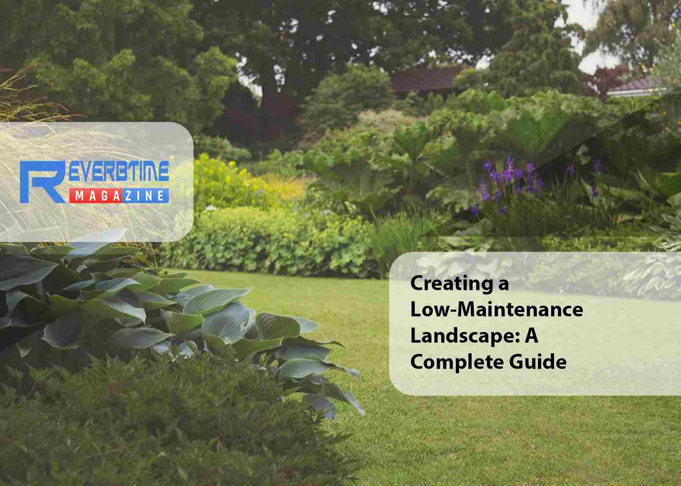 Creating a Low-Maintenance Landscape: A Complete Guide