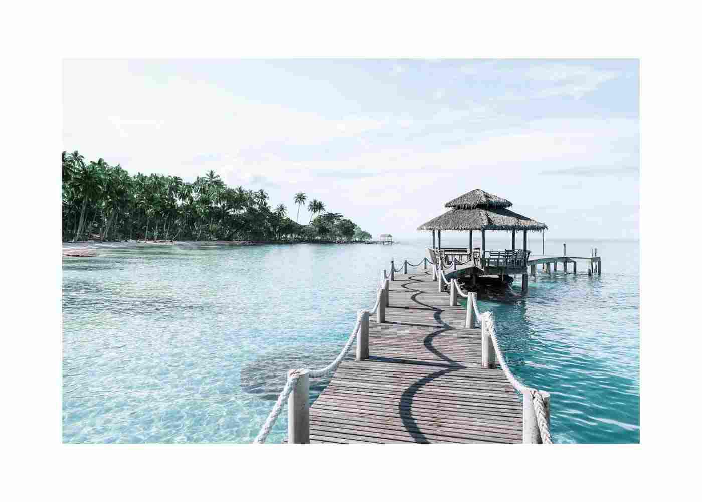Dive Into Amazing Coral Reefs and Underwater Wonders in Phuket's Clear Waters!