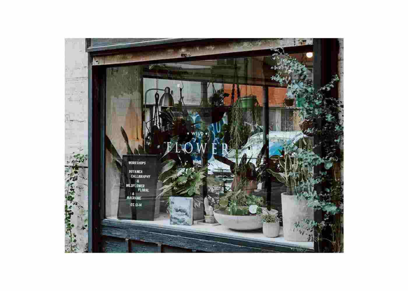 DIY Plant Wall Decor: Bringing the Outside In with Korean Succulents Supplier