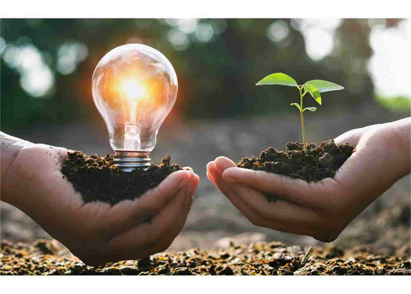 Economic Benefits of Investing in Sustainable Renewable Energy