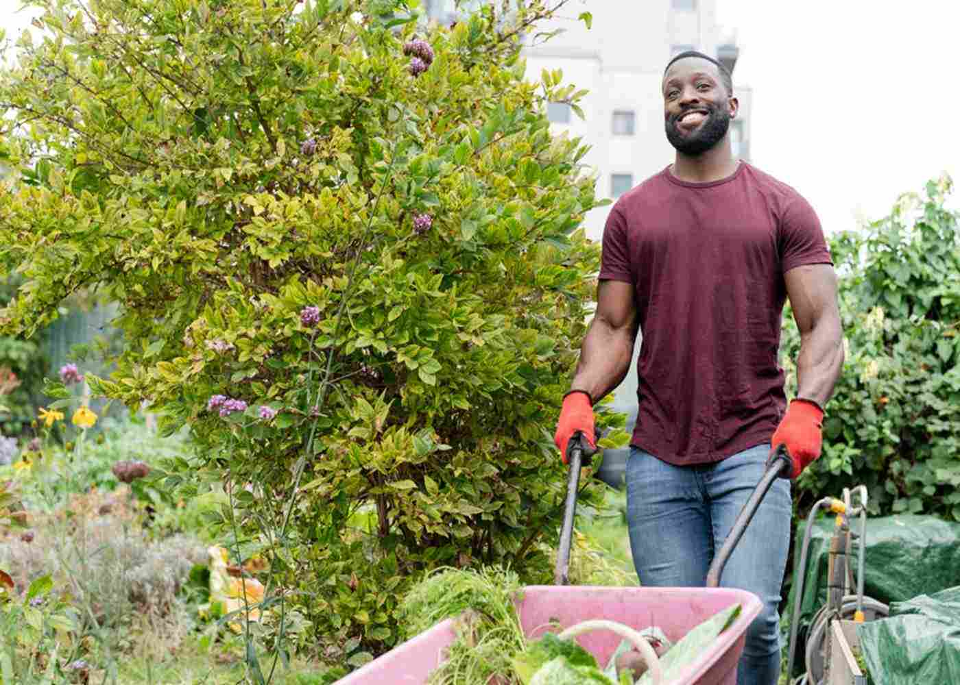 Elevate Your Green Space with Convenient Rental Gardening Tools