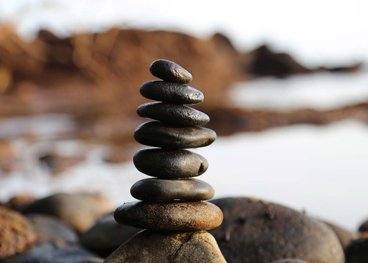 Everything to Understand About Vedic Meditation
