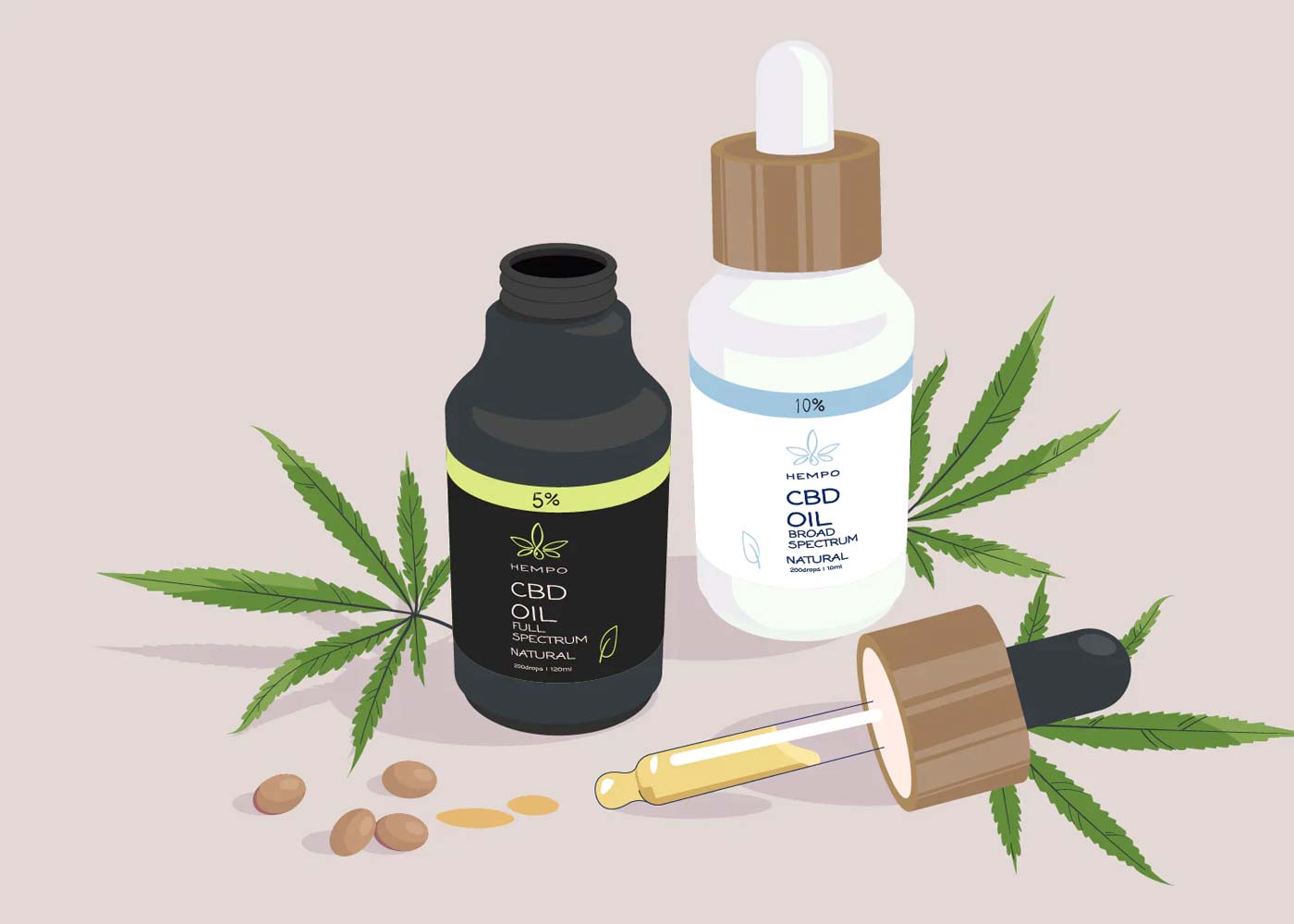 Everything You Need To Know About CBD When Using It for the First Time
