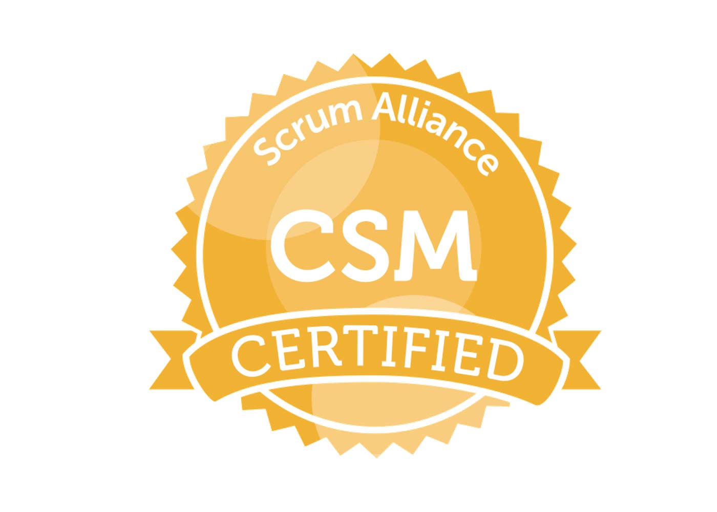 Everything You Need to Know About the Scrum Master Certification