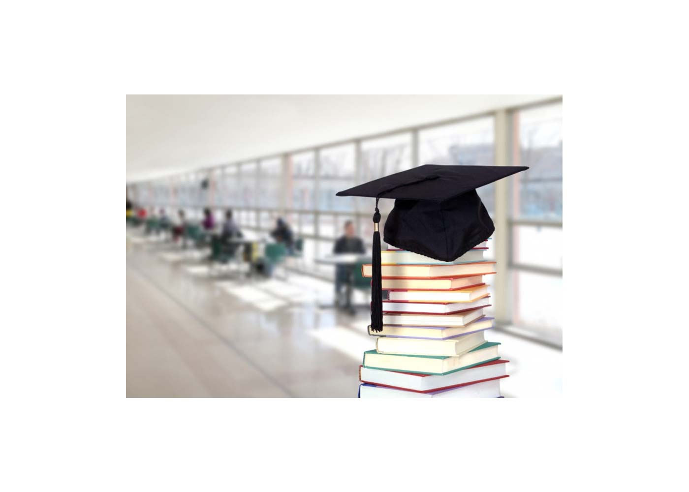 Exploring Educational Institutions: WBSU, JIS University, IPC, and More in India