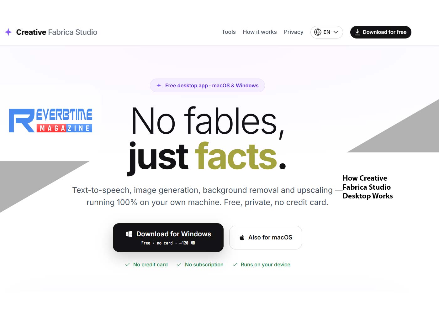 Free Desktop AI Tools for Creators: How Creative Fabrica Studio Desktop Works