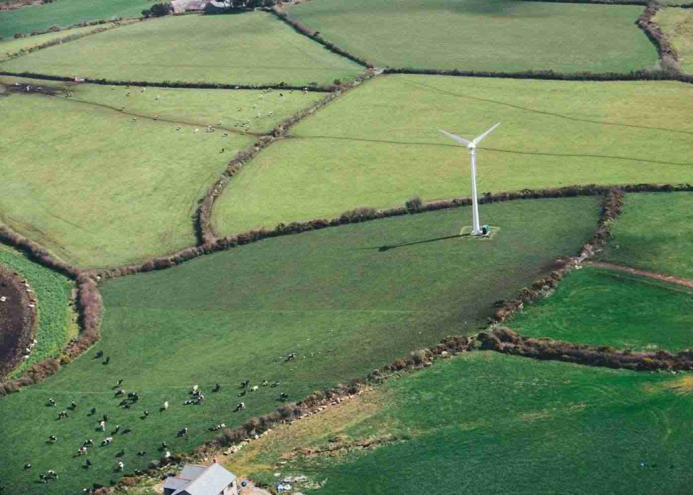 Future Trends in Farm Management Software: AI and Machine Learning Innovations