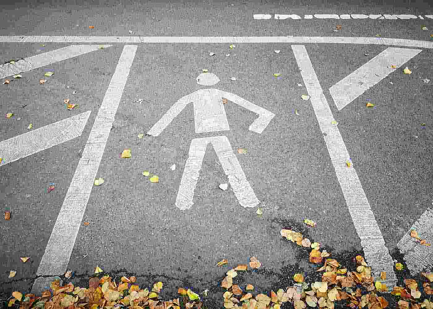 Hit by a Car? Here is Your Step-by-Step Survival Guide