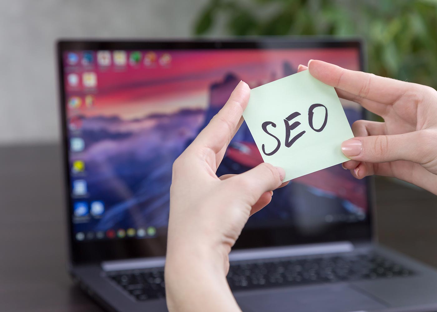 How an SEO Specialist can boost your business's online presence?