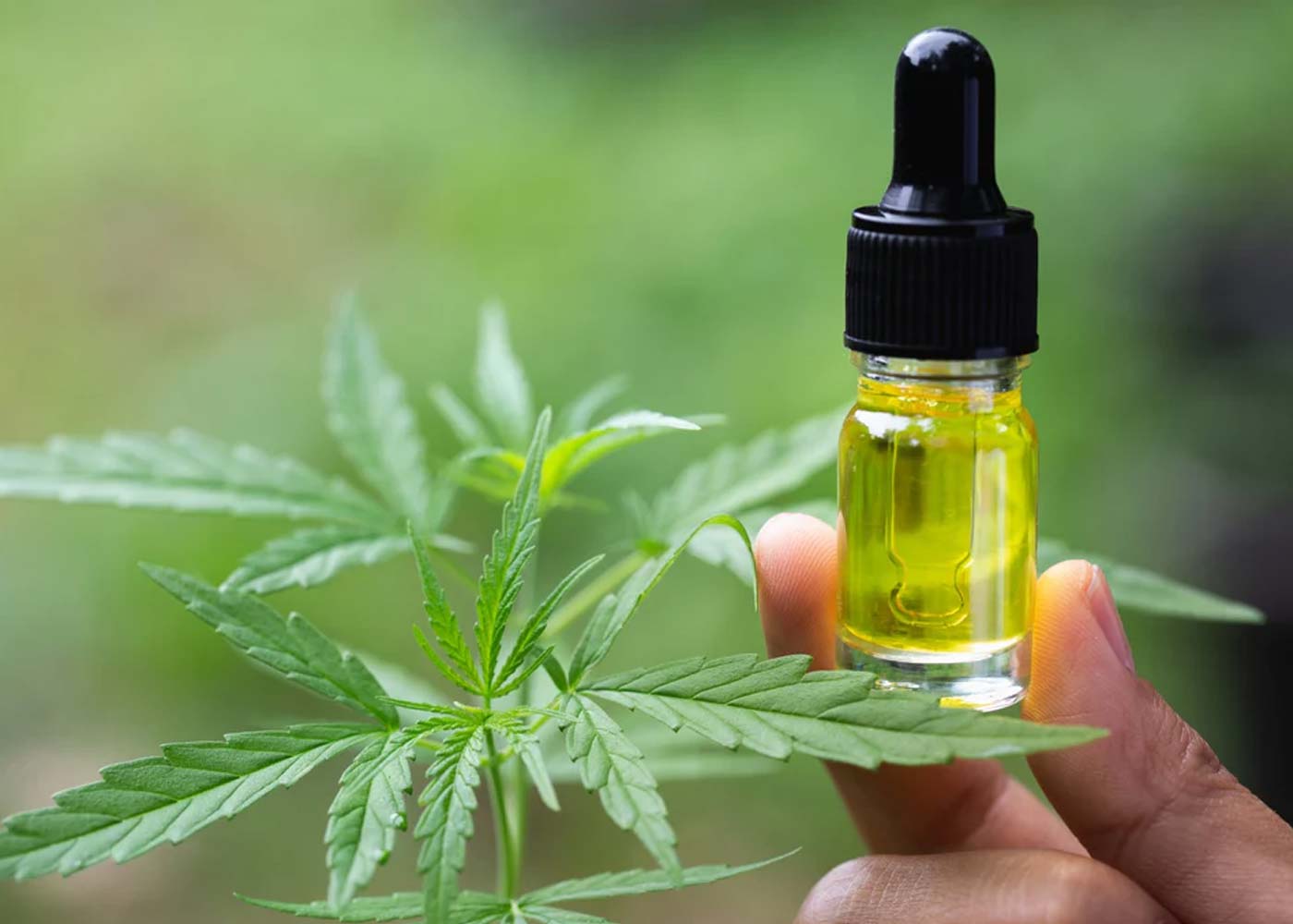 How Does CBD Vape Keep You Motivated For Long Work Hours?