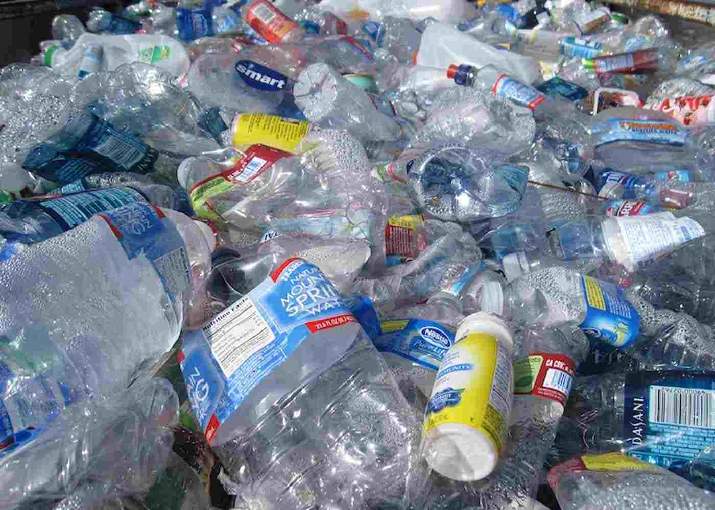 Unboxing Sustainability: How Eco-Friendly Packaging Drives Marketing Success