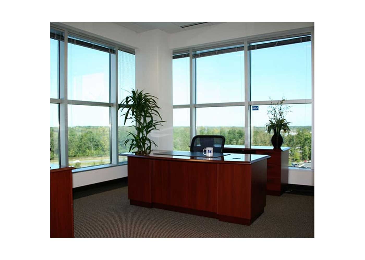 You Can Still Have That Corner Office and Get Clean, Here is How the Smartest People Do It