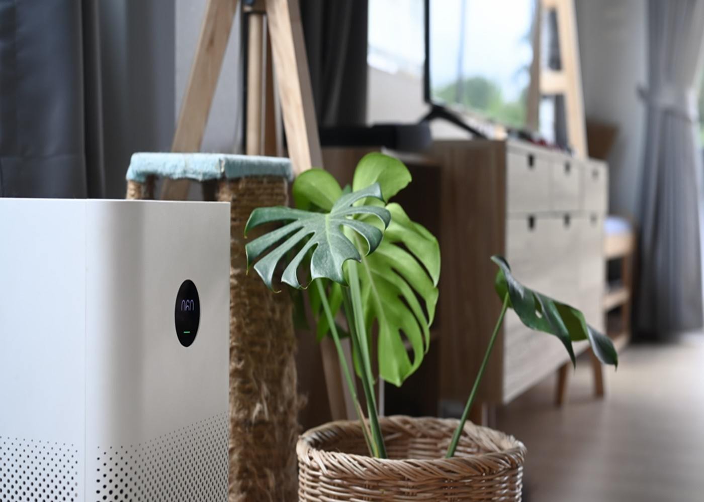 How to Combat Cannabis Odors in Your Living Space