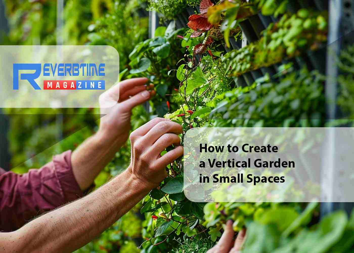 Elevate your Small Space with this Vertical Garden Design