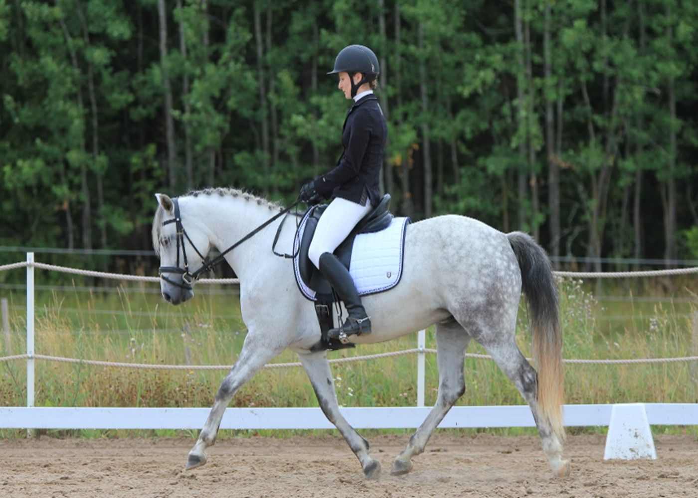 How to Get Started in Dressage