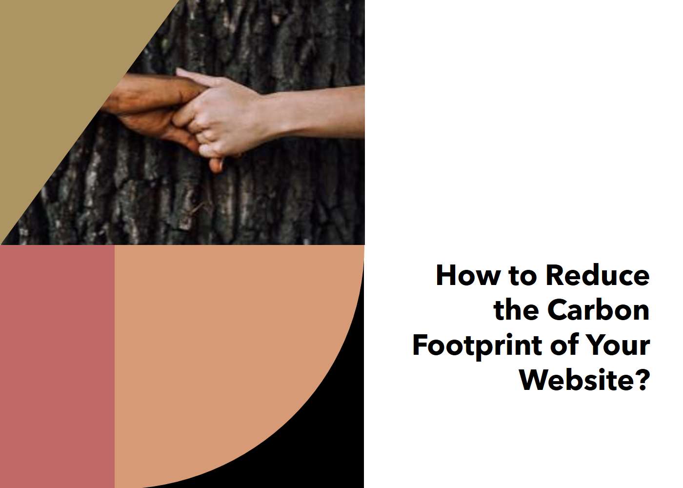 How to Reduce the Carbon Footprint of Your Website