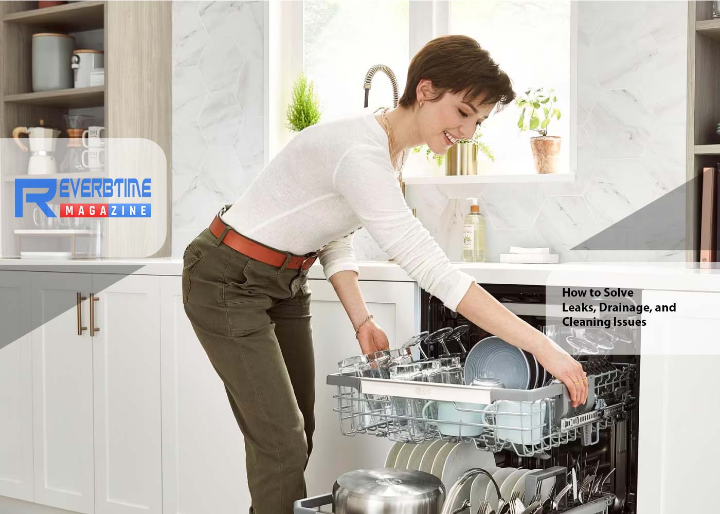 Denver Dishwasher Repair: How to Solve Leaks, Drainage, and Cleaning Issues
