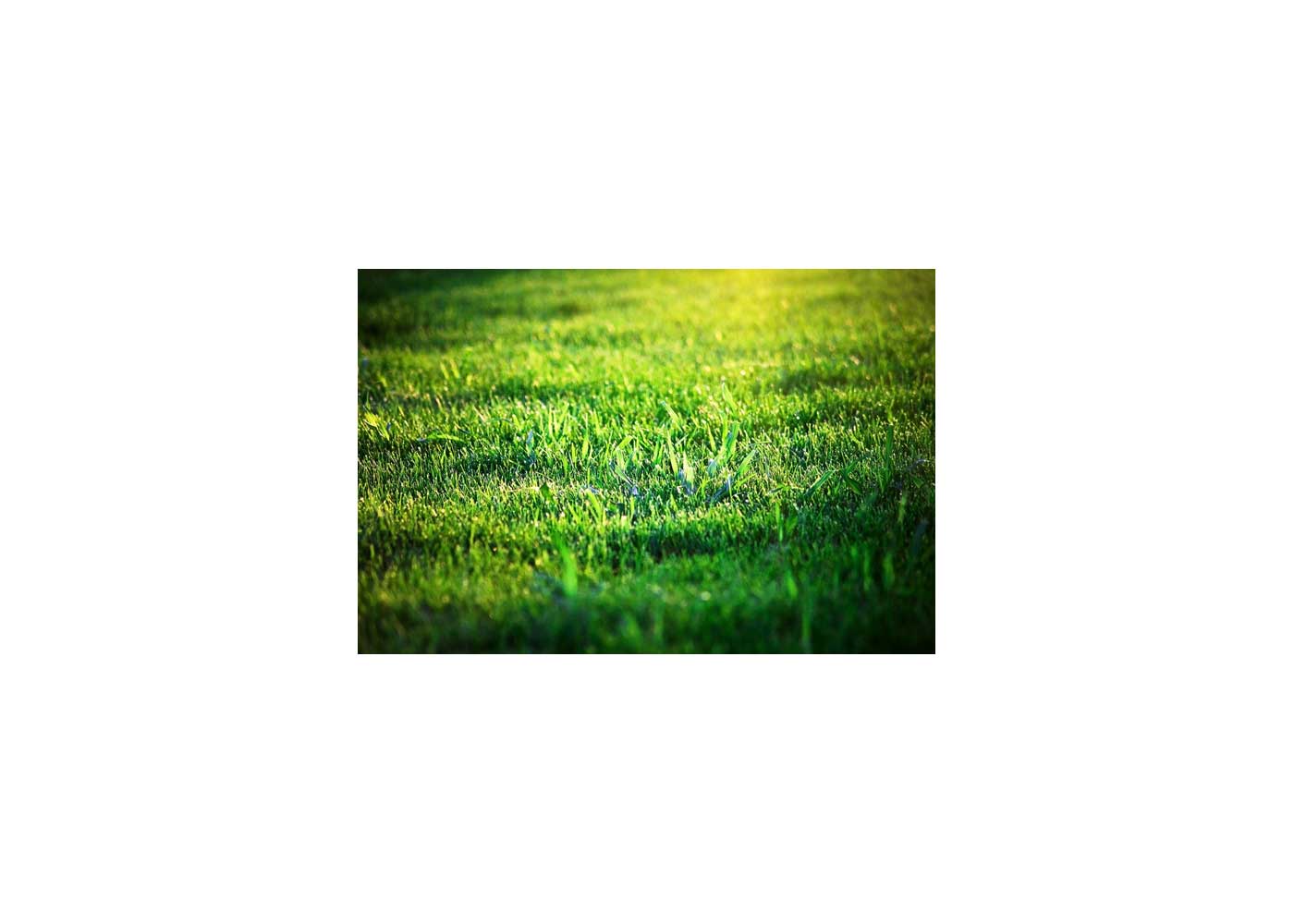 Unlocking the Green Revolution: Hydroseeding and Its Advantages