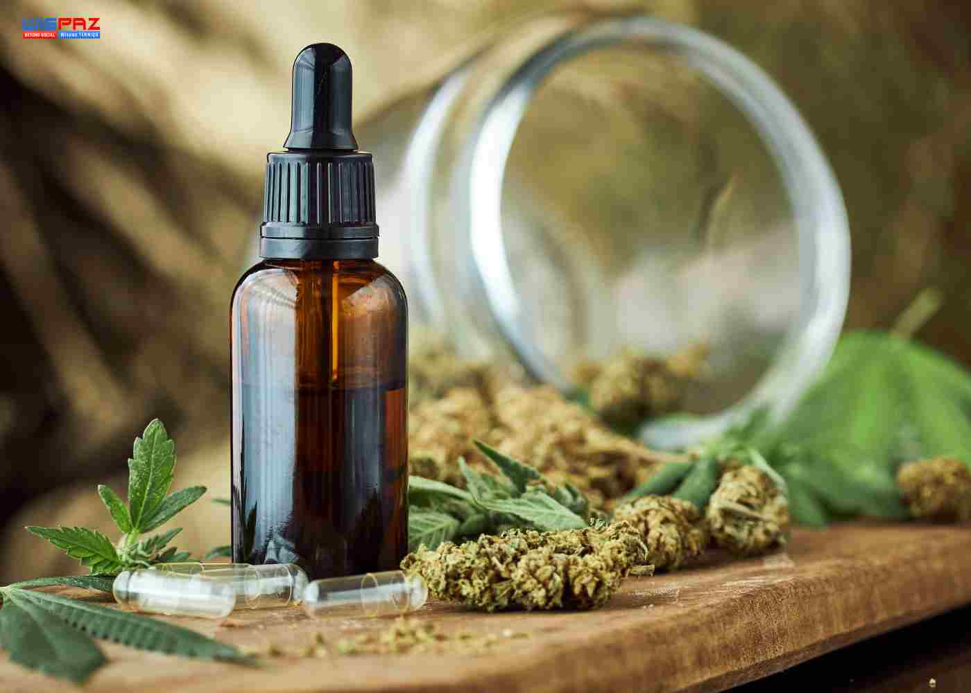 In the Kitchen with CBD - Complete with Recipe Ideas!