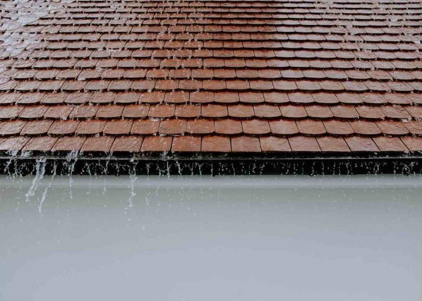 Is Your Roof Leaking? 5 Signs to Look For That Indicate a Problem