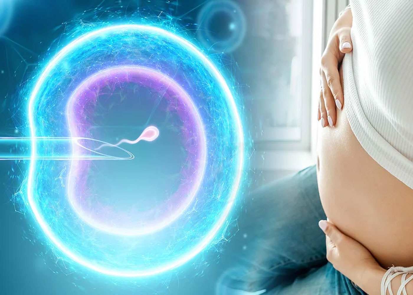 All Aspects of Ivf Technology Procedure and Rate of Success