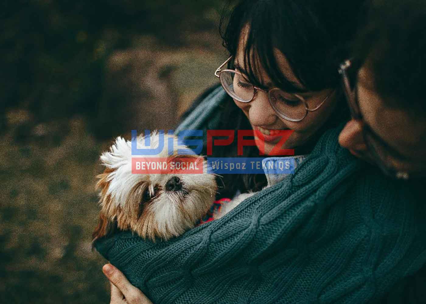 Dealing with Pet Emergencies: Knowing When to Seek Veterinary Care