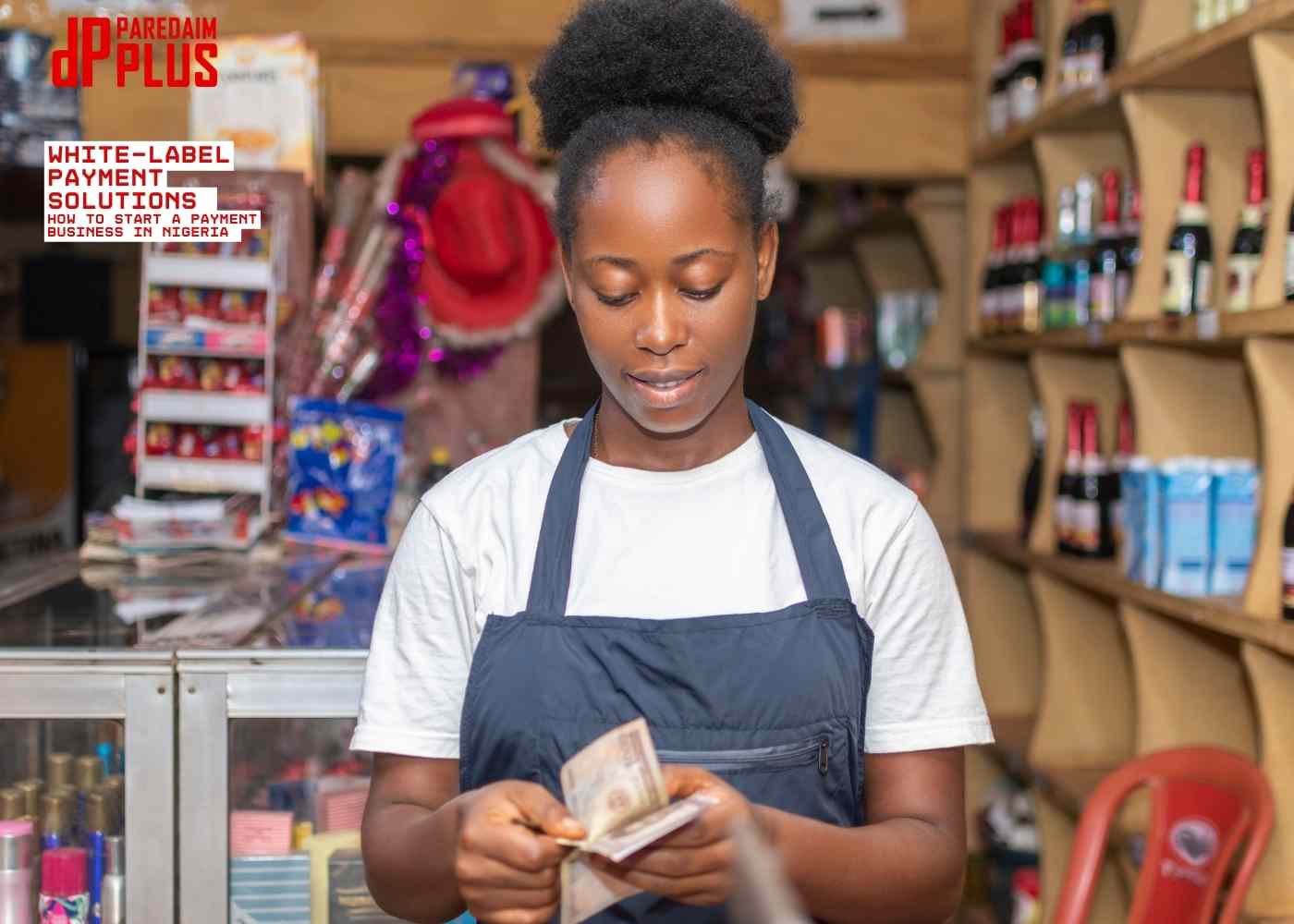 Launching a Payment Gateway in Nigeria with Zero Coding Launching a Payment Gateway in Nigeria with Zero Coding