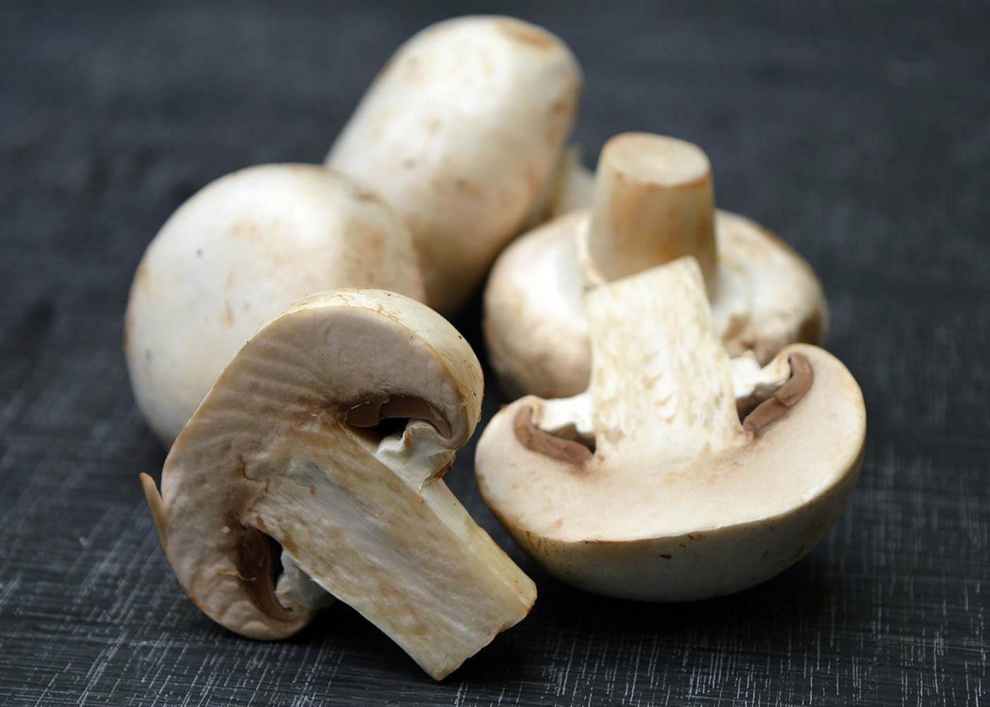 Mushroom farm equipment dos and don'ts - how to make the right purchases