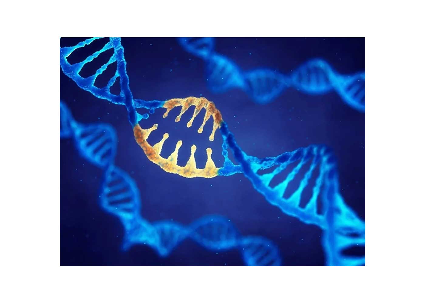 Nanotechnology and Its Potential Use In Biotechnology: A Promising Synergy
