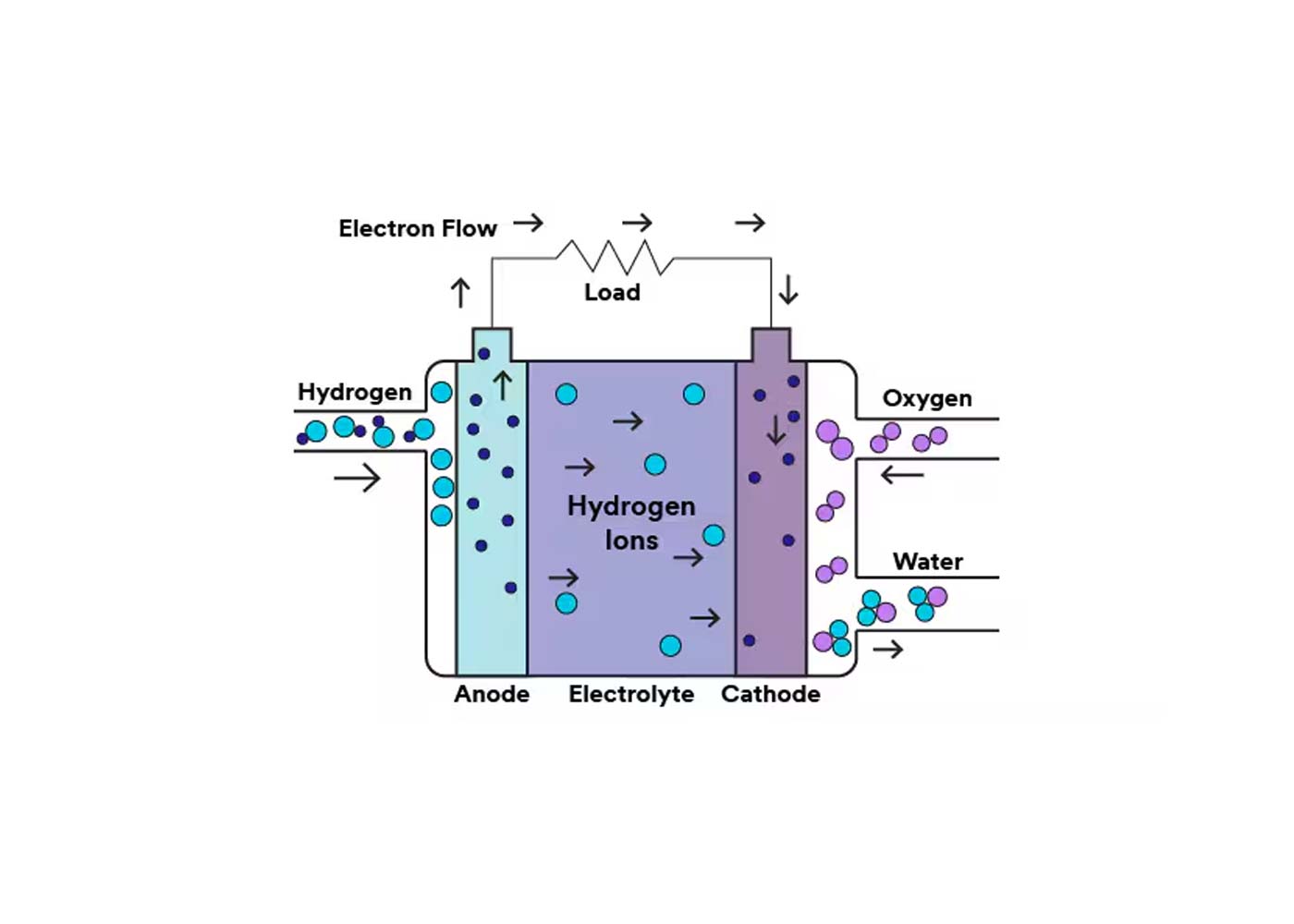 PEM Fuel Cell Technology Explained: Why Hydrogen Power Is Gaining Global Attention