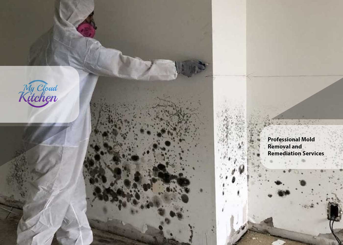 Professional Mold Removal and Remediation Services