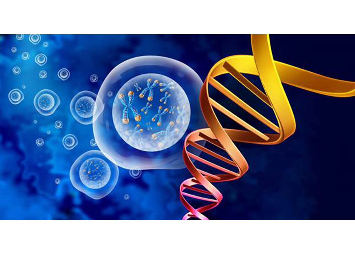 Regenerative Medicine: A New Era in Tissue Repair and Regeneration